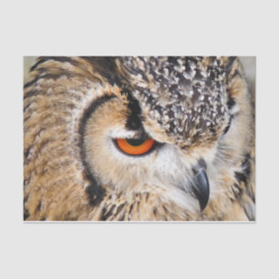 PAPEL DE SEDA CORUJA