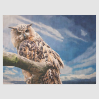 Papel De Seda Coruja de Pintura