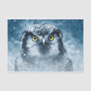 Papel De Seda Coruja e Noite de Inverno