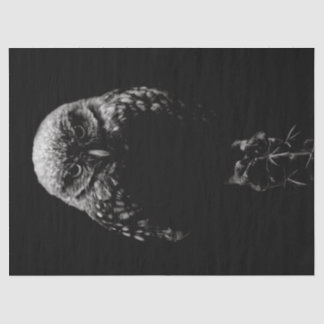 Papel De Seda 'Coruja Inclinação'