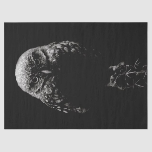 Papel De Seda 'Coruja Inclinação' (Frente )