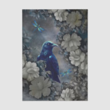 Corvo Misterioso, Flores Brancas & Libélulas