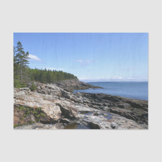 Papel De Seda Costa da Ilha Bar no Parque Nacional de Acadia (Frente )