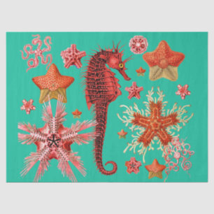 PAPEL DE SEDA COSTAS VERMELHAS E ESTRELAS MARÍTIMAS EM AQUA BLUE