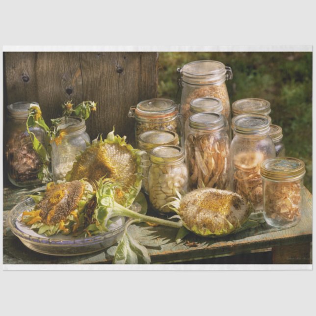 Papel De Seda Cozinha - Poupando sementes (Frente )