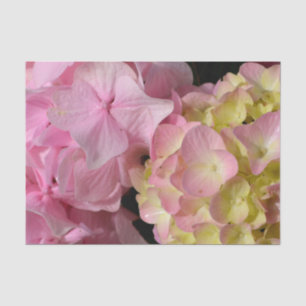 Papel De Seda Creme cor-de-rosa Hydrangeas amarelas cor-de-rosa