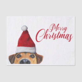 Papel De Seda Curioso Cachorro Engraçado com Papai Noel
