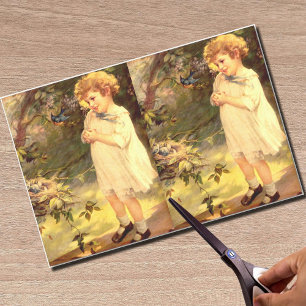 Papel De Seda Cutie do Victorian com pássaros