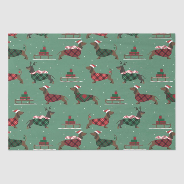 Papel De Seda Dachshances Natal Vestindo Suéter e Santa Hat (Frente )