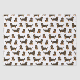Papel De Seda Dachshund de cabelos longos