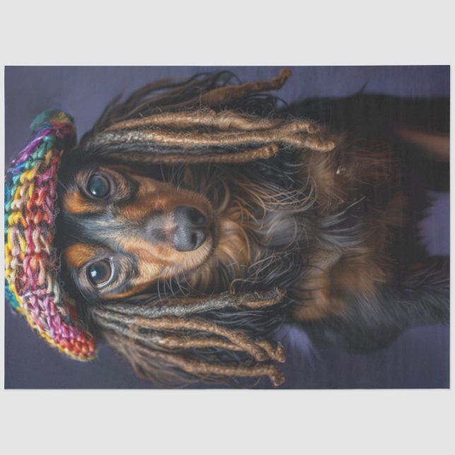 Papel De Seda Dachshund Dreadlock, Colorido, Dreadlock, Knied Ha (Frente )