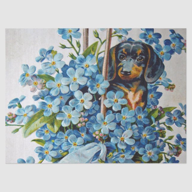 Papel De Seda Dachshund e Forget-Me-Nots (Frente )