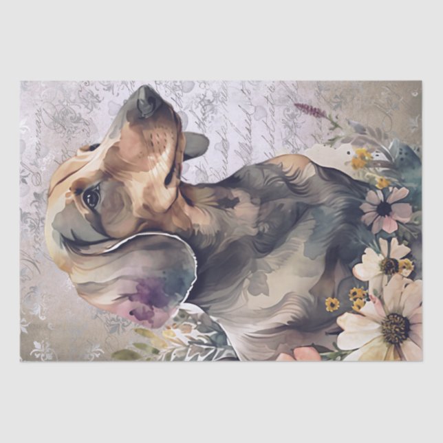 Papel De Seda Dachshund Floral (Frente )