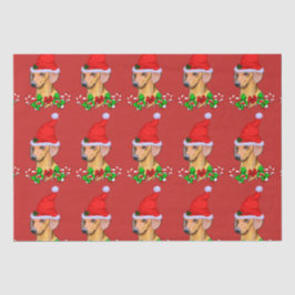 Papel De Seda Dachshund no Natal de Santa Hat
