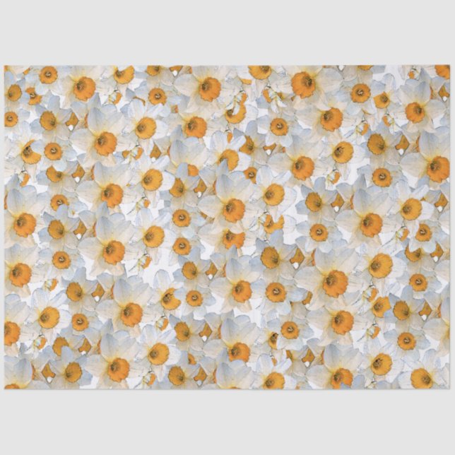 Papel De Seda Daffodil Fresco (Frente )
