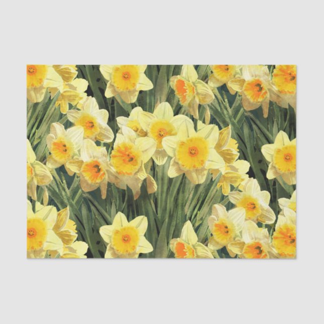 Papel De Seda Daffodils amarelos do primavera (Frente )