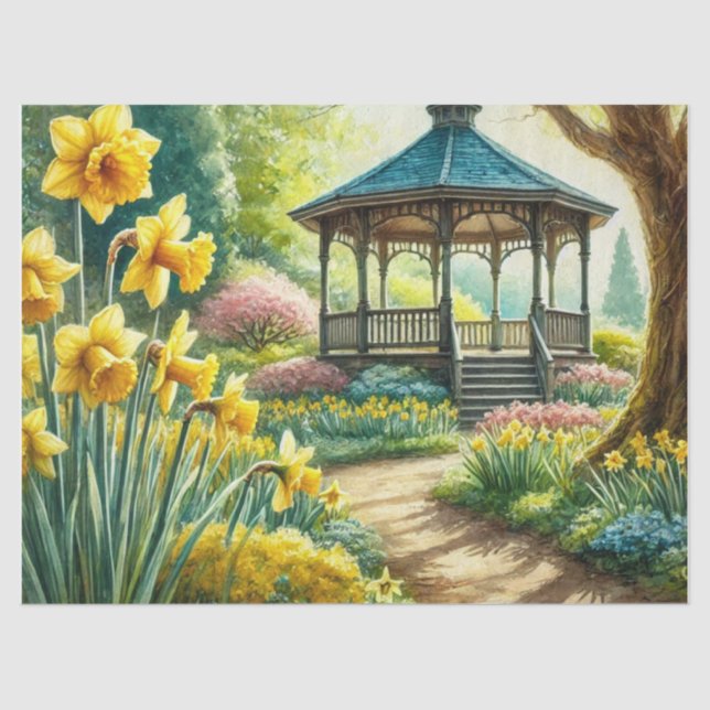 Papel De Seda Daffodils Amarelos na Primavera com Gazebo (Frente )