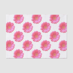 Papel De Seda Daisy gerbera rosa