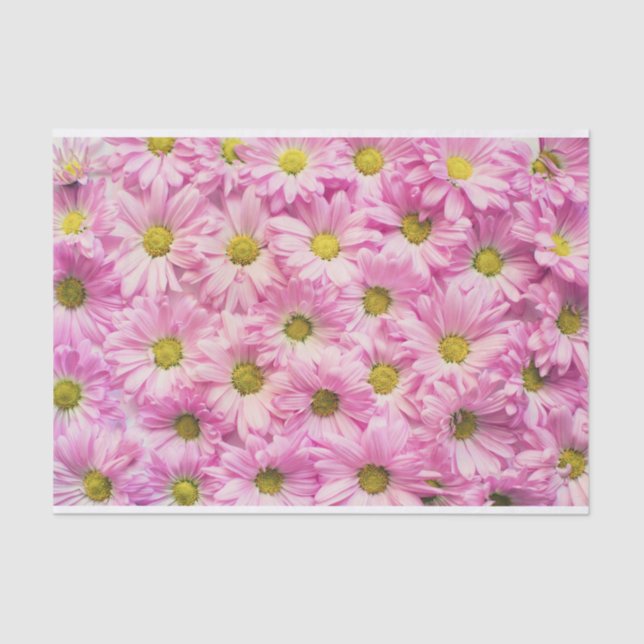 Papel De Seda Daisy Rosa (Frente )