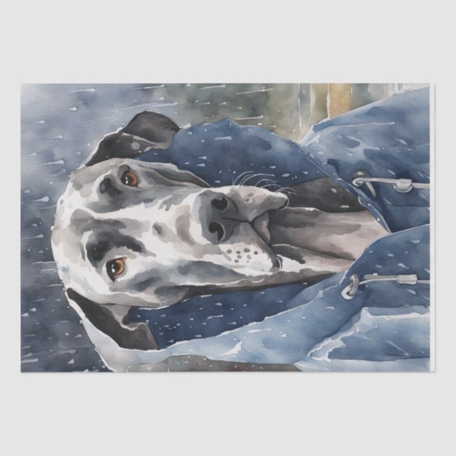 Papel De Seda Dapper Great Dane em Downpour (Frente )