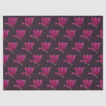 Dark Pink Tulip