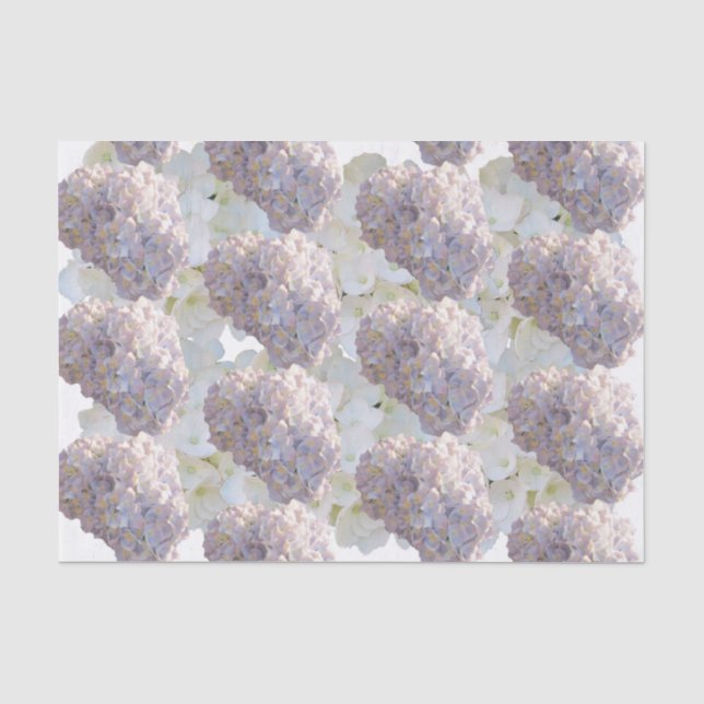 Papel de Seda de Hortênsias Rosa e Branco (Frente )
