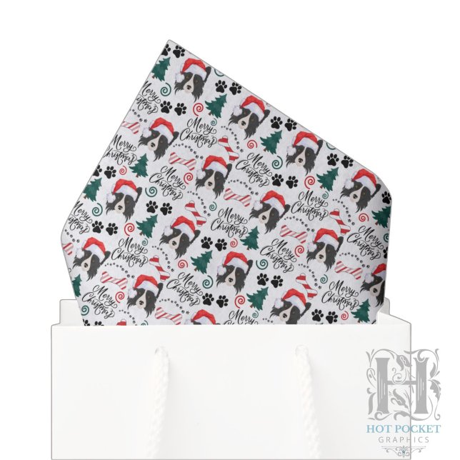 Papel de Seda de Natal Border Collie (Criador carregado)