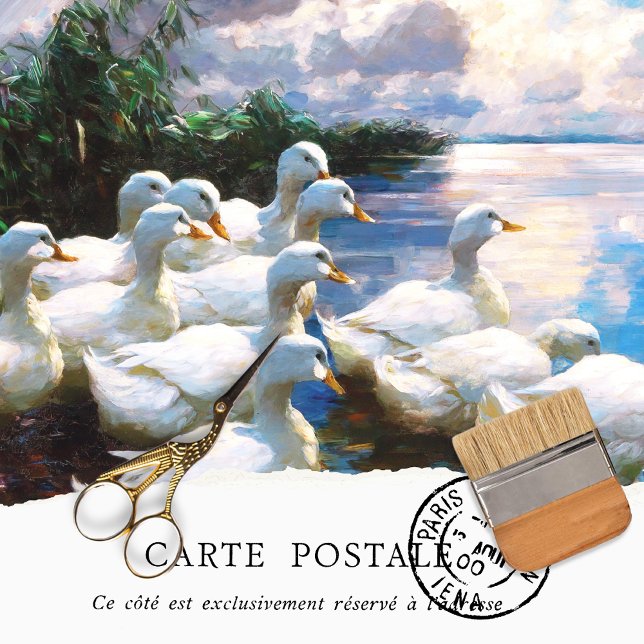 Papel de Seda de Patos Vintage (Criador carregado)