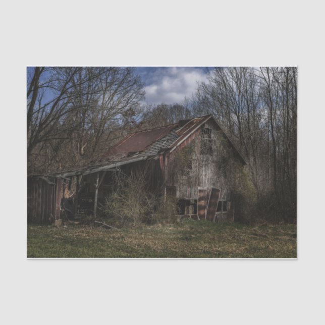Papel De Seda Decay Abandonated Wood Barn in the Forest (Frente )