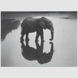 Papel De Seda Decodificação do Elefante Africano Majestoso e Ref