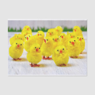 Papel De Seda Decoração da Páscoa - Grupo de pintinhos