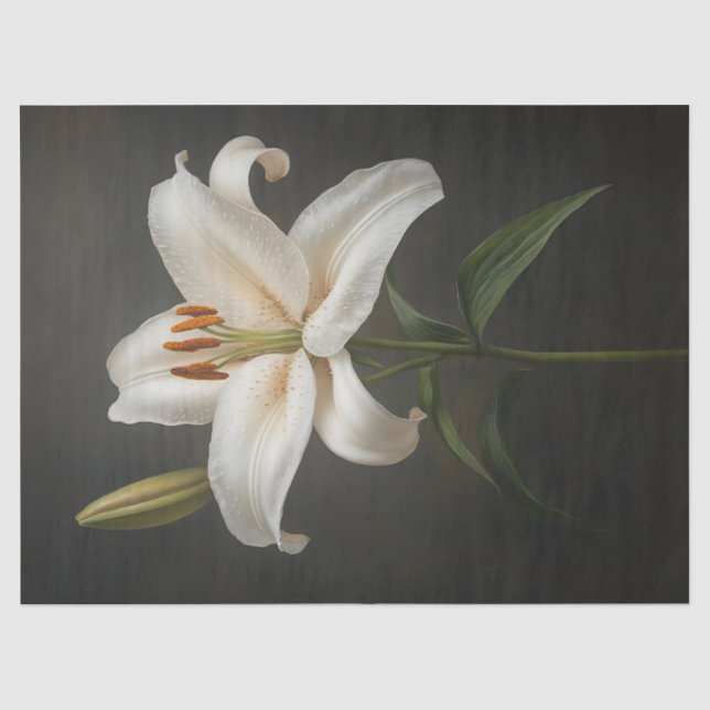 Papel De Seda Decoupage Branca Elegante (Frente )
