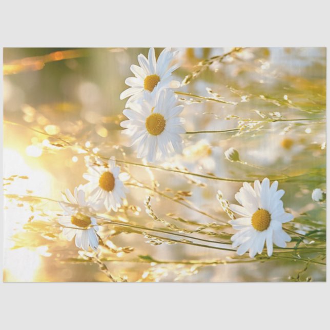Papel De Seda Decoupage Daisy Bright White & Yellow Field Flower (Frente )