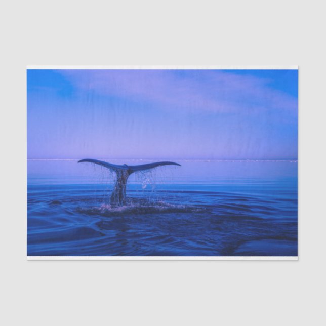 Papel De Seda Decoupage de Baleia Oceânica (Frente )