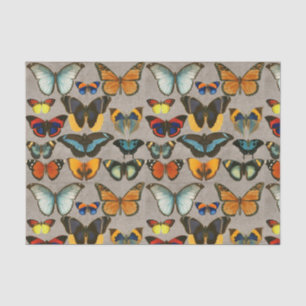 Papel De Seda Decoupage de Entomologia Colorida da Borboleta Vin