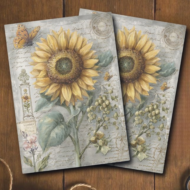 Papel De Seda Decoupage de Ephemera Botânica de Girassol Antigo (Criador carregado)