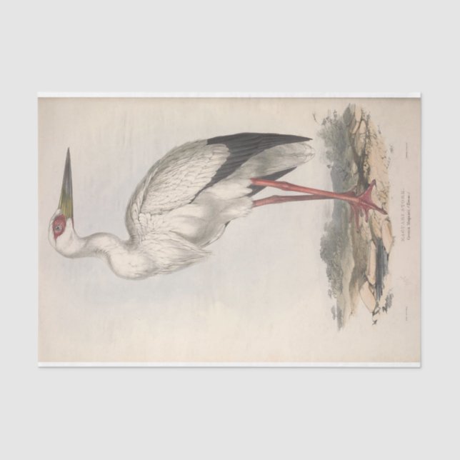 Papel De Seda Decoupage de Ephemera de Stork Bird (Frente )