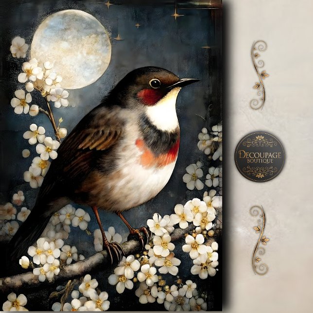 Papel De Seda Decoupage de Flor de Robin ao Luar (Moonlit Robin Blossom Decoupage Tissue Paper)