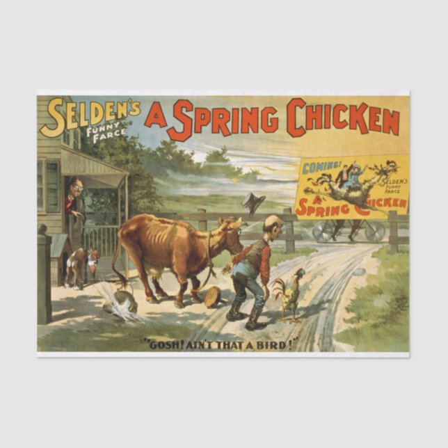 Papel De Seda Decoupage de Frango primavera (Frente )