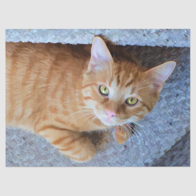 Papel De Seda Decoupage de Gato de Tabby Laranja-Cento (Frente )