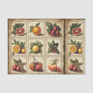 Papel De Seda Decoupage de Grade Botânica de Frutas Antigas