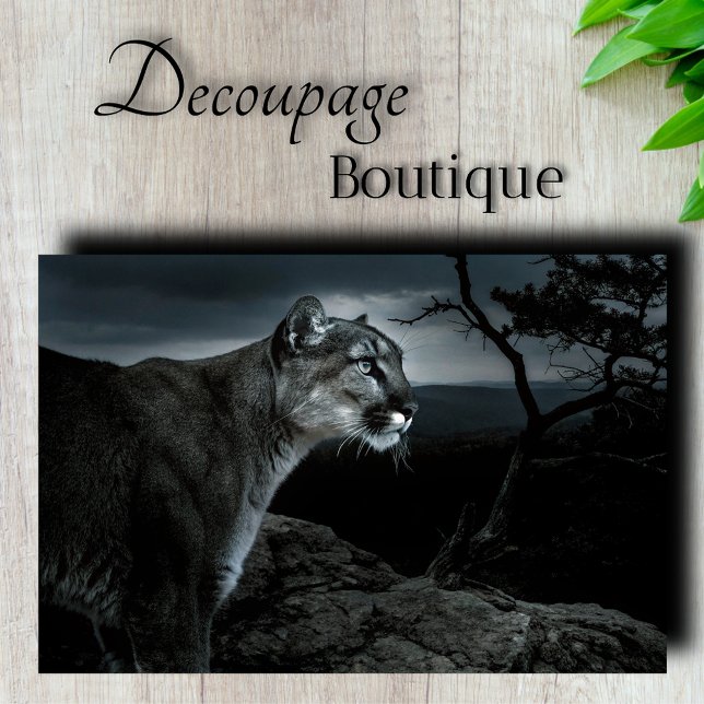 Papel De Seda Decoupage de Leão da Montanha (Mountain Lion Decoupage Tissue Paper)