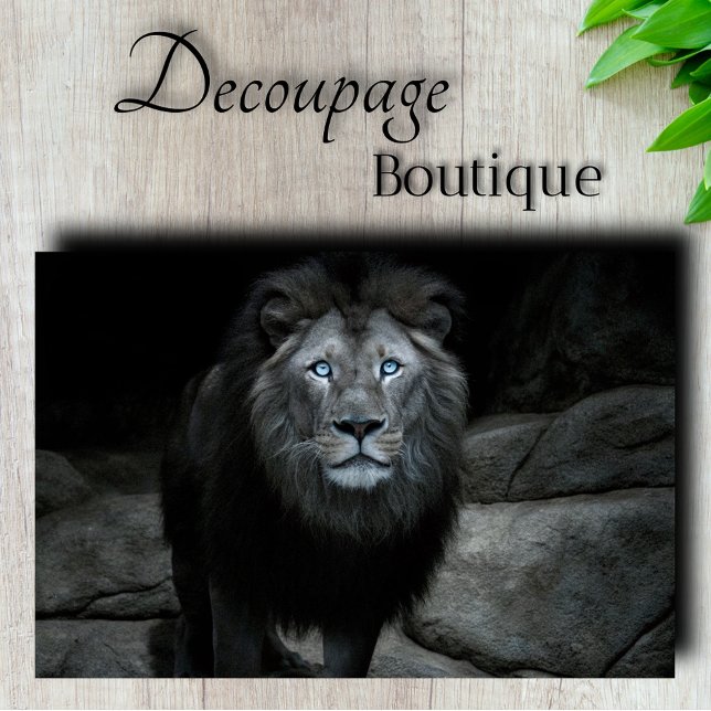 Papel De Seda Decoupage de Leão Majestoso (Majestic Lion Decoupage Tissue Paper)