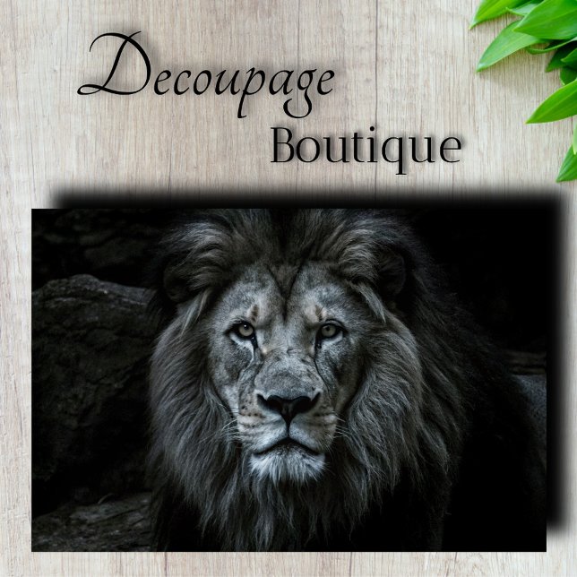 Papel De Seda Decoupage de Leão Majestoso (Majestic Lion Decoupage Tissue Paper)