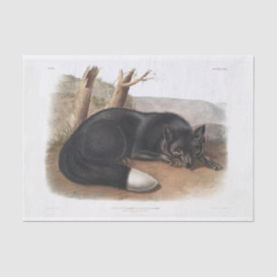 Papel De Seda Decoupage de Raposa Negra Americana ou Prata