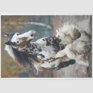 Papel De Seda Decoupage do Cavalo Negro Castanho Clydesdale