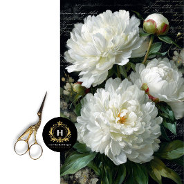 Papel De Seda Decoupage do Flor Branco de Peony