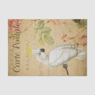 Papel De Seda Decoupage do Pássaro de Cockatoo em Francês Epheme