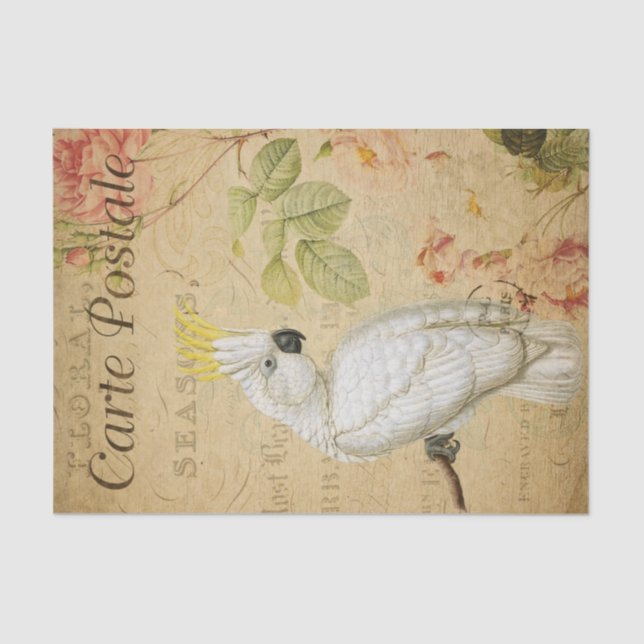 Papel De Seda Decoupage do Pássaro de Cockatoo em Francês Epheme (Frente )