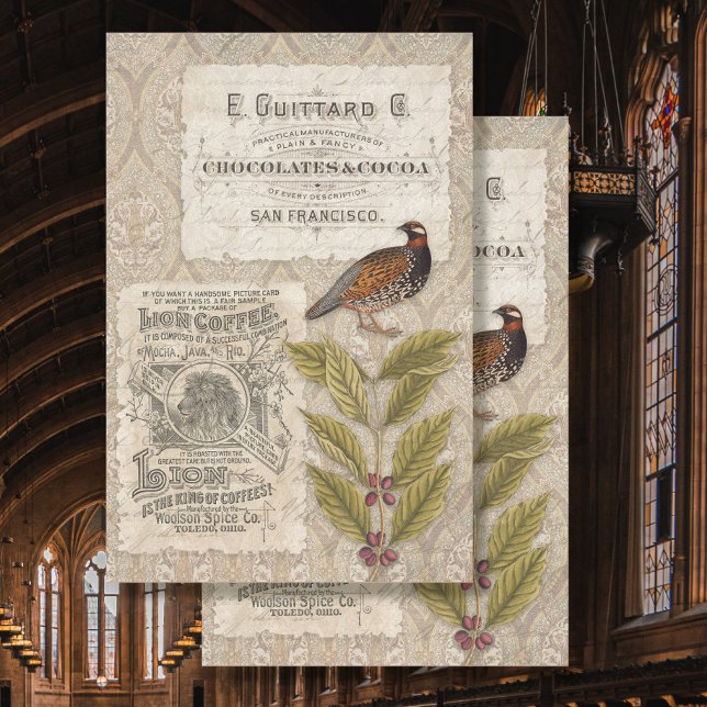 Papel De Seda Decoupage do Pássaro Masculino do Café Feijão Ephe (Criador carregado)